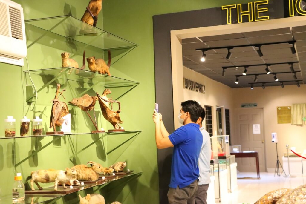 326043736_859239531803969_5598989128380013094_n