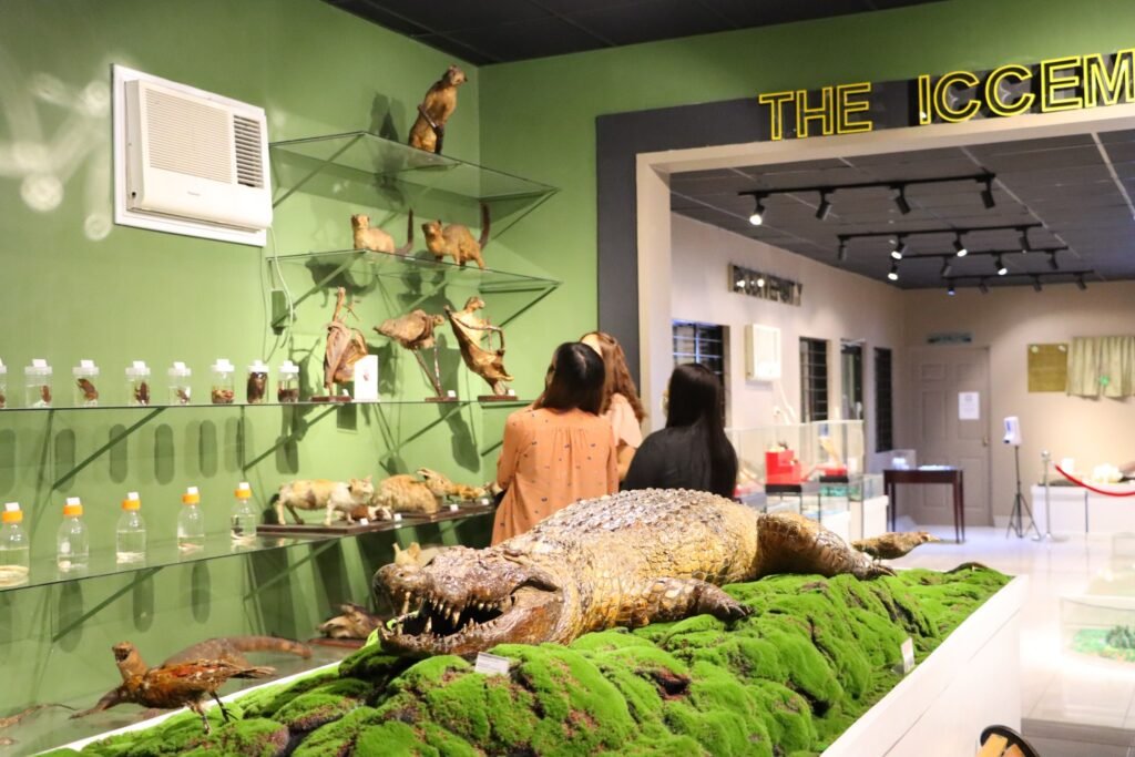 326125076_744555807300531_5355976023912183355_n