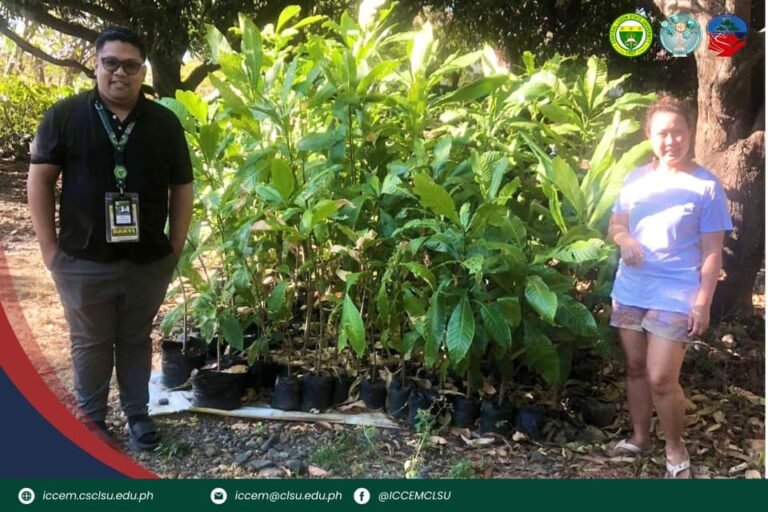 Collection of native seedlings