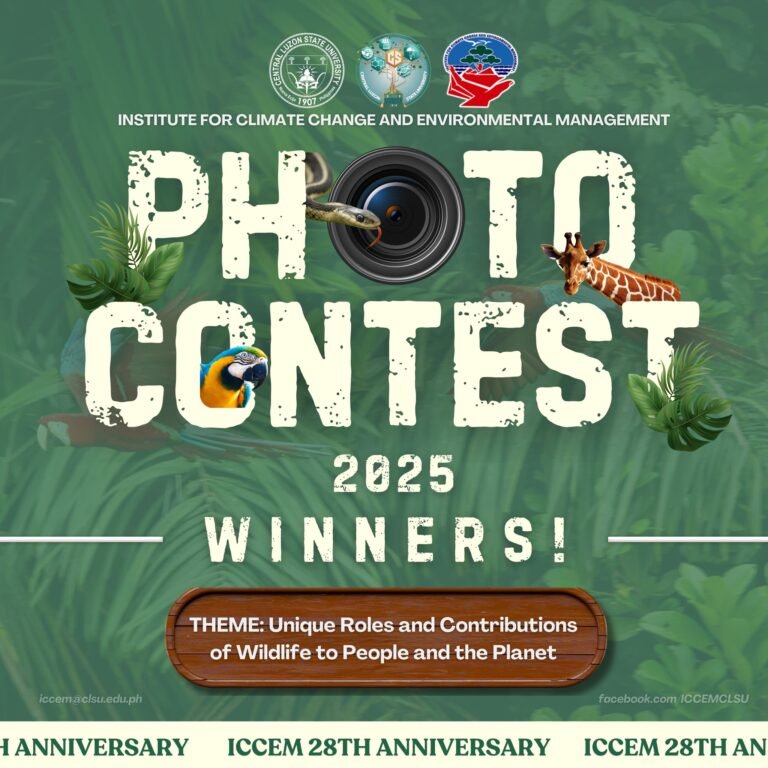 Top 3 winners and the People’s Choice for this year’s ICCEM Photo Contest!